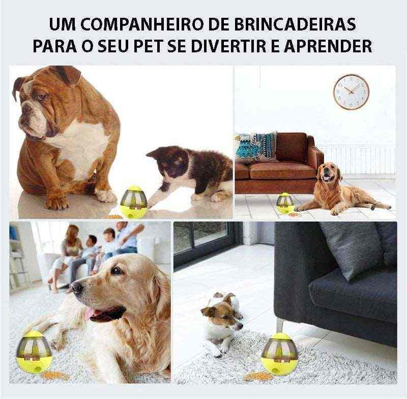 Brinquedo Interativo Ovo Com Petisco Para Cães