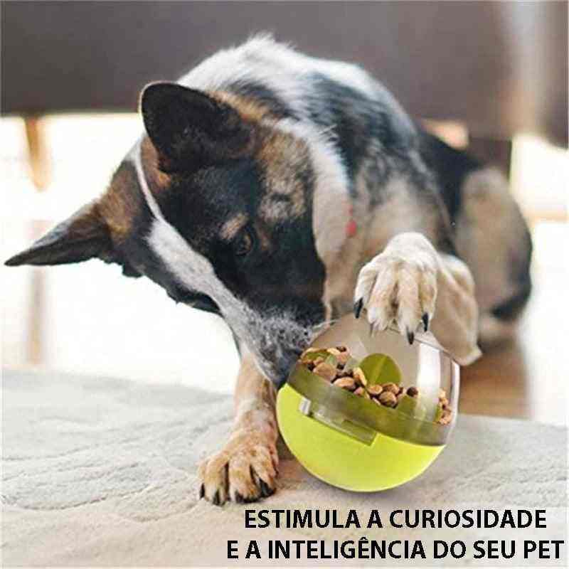 Brinquedo Interativo Ovo Com Petisco Para Cães